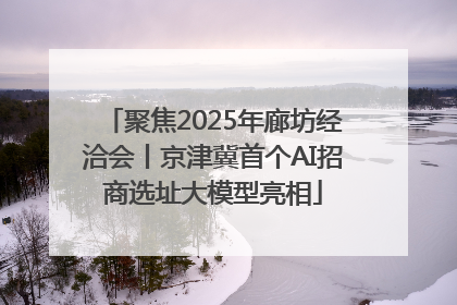 聚焦2025年廊坊经洽会丨京津冀首个AI招商选址大模型亮相