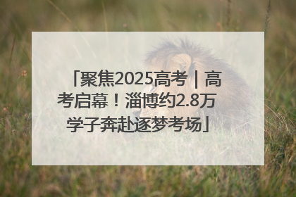 聚焦2025高考｜高考启幕！淄博约2.8万学子奔赴逐梦考场