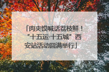 肉夹馍喊话荔枝鲜！“十五运·十五城”西安站活动圆满举行