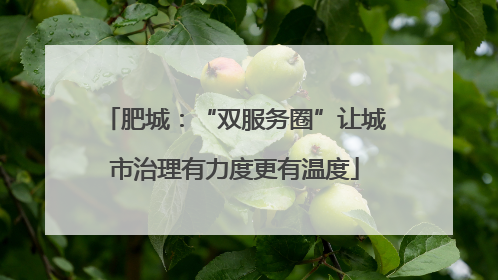 肥城：“双服务圈”让城市治理有力度更有温度