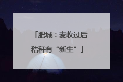肥城：麦收过后秸秆有“新生”