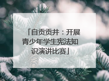 自贡贡井：开展青少年学生宪法知识演讲比赛