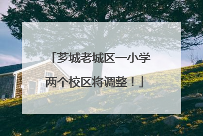 芗城老城区一小学两个校区将调整！