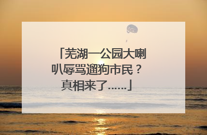 芜湖一公园大喇叭辱骂遛狗市民？真相来了……