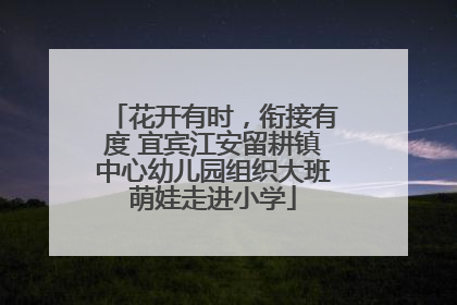 花开有时，衔接有度 宜宾江安留耕镇中心幼儿园组织大班萌娃走进小学