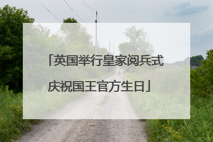 英国举行皇家阅兵式庆祝国王官方生日