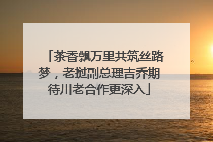 茶香飘万里共筑丝路梦，老挝副总理吉乔期待川老合作更深入