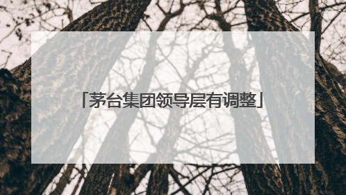 茅台集团领导层有调整