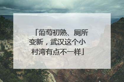 葡萄初熟、厕所变新，武汉这个小村湾有点不一样