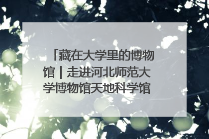藏在大学里的博物馆｜走进河北师范大学博物馆天地科学馆：在校园里赴一场“宇宙之约”