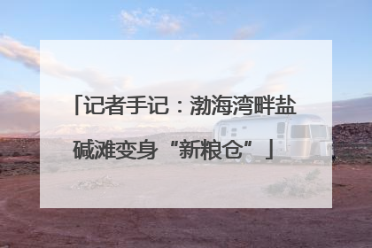 记者手记：渤海湾畔盐碱滩变身“新粮仓”