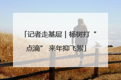 记者走基层｜杨树打“点滴” 来年抑飞絮