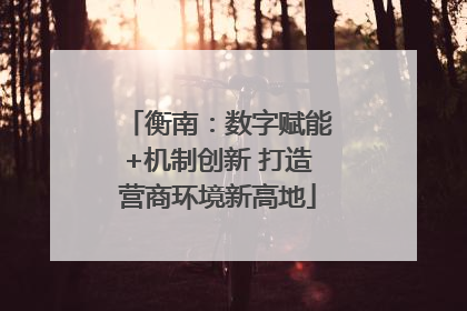 衡南：数字赋能+机制创新 打造营商环境新高地