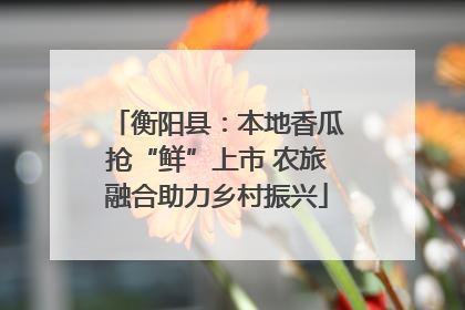 衡阳县：本地香瓜抢“鲜”上市 农旅融合助力乡村振兴