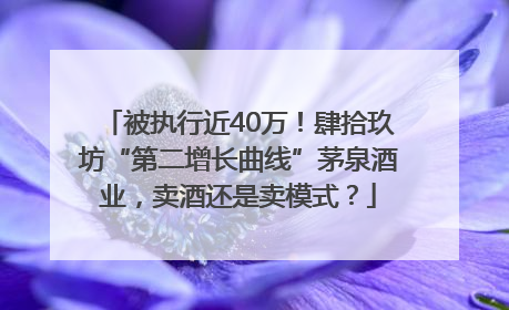 被执行近40万！肆拾玖坊“第二增长曲线”茅泉酒业，卖酒还是卖模式？