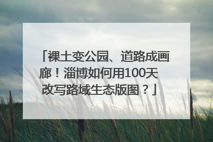 裸土变公园、道路成画廊！淄博如何用100天改写路域生态版图？