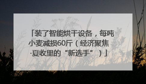 装了智能烘干设备，每吨小麦减损60斤（经济聚焦·夏收里的“新选手”）