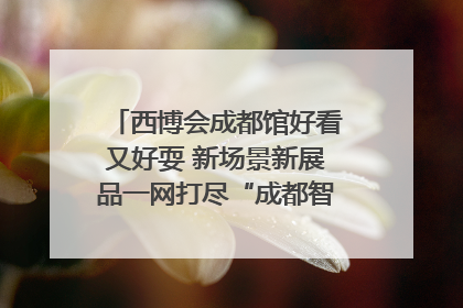 西博会成都馆好看又好耍 新场景新展品一网打尽“成都智造”｜西博视界