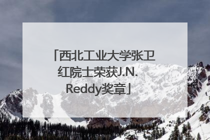 西北工业大学张卫红院士荣获J.N.Reddy奖章