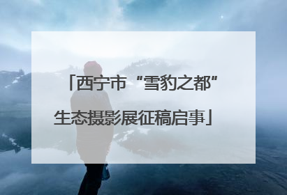 西宁市“雪豹之都”生态摄影展征稿启事