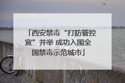 西安禁毒“打防管控宣”并举 成功入围全国禁毒示范城市