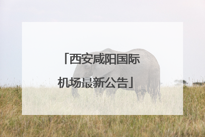 西安咸阳国际机场最新公告