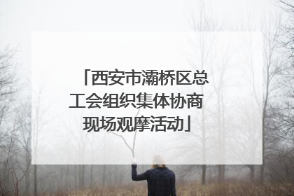 西安市灞桥区总工会组织集体协商现场观摩活动