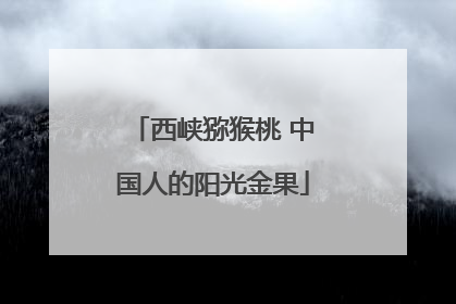 西峡猕猴桃 中国人的阳光金果