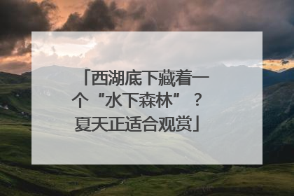 西湖底下藏着一个“水下森林”？夏天正适合观赏