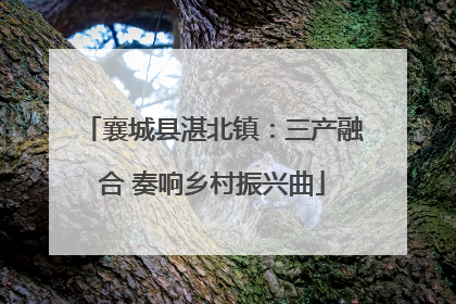 襄城县湛北镇：三产融合 奏响乡村振兴曲