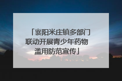 襄阳米庄镇多部门联动开展青少年药物滥用防范宣传