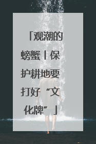 观潮的螃蟹丨保护耕地要打好“文化牌”