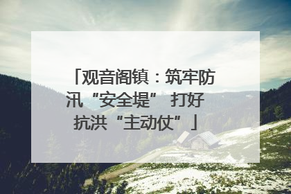 观音阁镇：筑牢防汛“安全堤” 打好抗洪“主动仗”