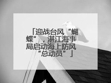 迎战台风“蝴蝶”，湛江海事局启动海上防风“总动员”