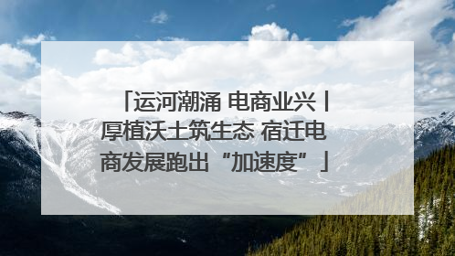 运河潮涌 电商业兴丨厚植沃土筑生态 宿迁电商发展跑出“加速度”