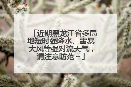 近期黑龙江省多局地短时强降水、雷暴大风等强对流天气，请注意防范～