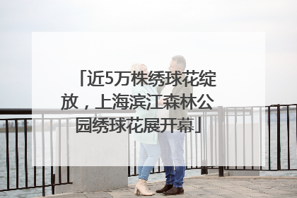 近5万株绣球花绽放，上海滨江森林公园绣球花展开幕