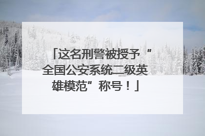 这名刑警被授予“全国公安系统二级英雄模范”称号！