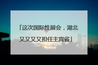 这次国际性展会，湖北又又又又担任主宾省