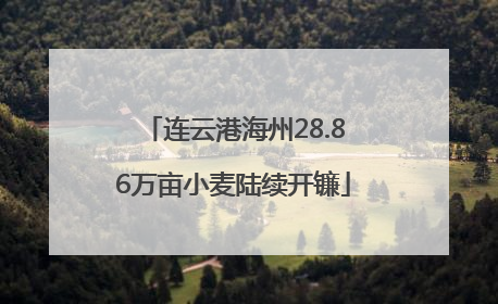 连云港海州28.86万亩小麦陆续开镰