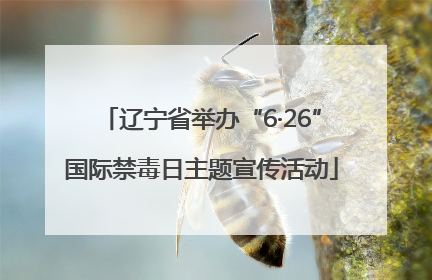 辽宁省举办“6·26”国际禁毒日主题宣传活动