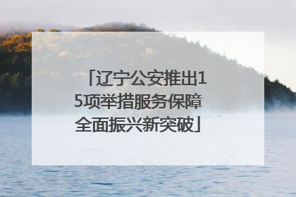 辽宁公安推出15项举措服务保障全面振兴新突破
