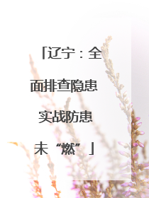 辽宁：全面排查隐患 实战防患未“燃”
