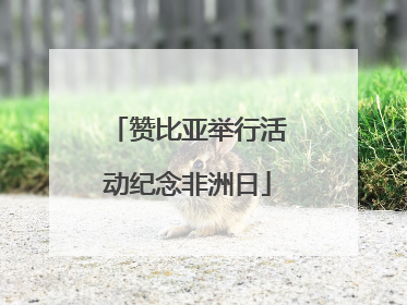 赞比亚举行活动纪念非洲日