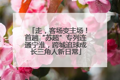 走，客场变主场！首趟“苏超”专列连通宁淮，跨城追球成长三角人新日常