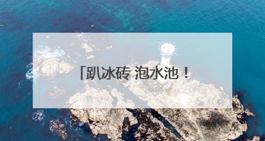趴冰砖 泡水池！成都动物园里的消暑“凉”方丨图集