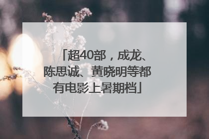 超40部，成龙、陈思诚、黄晓明等都有电影上暑期档