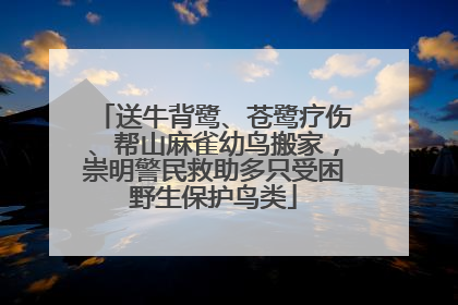 送牛背鹭、苍鹭疗伤、帮山麻雀幼鸟搬家，崇明警民救助多只受困野生保护鸟类