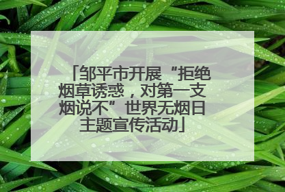 邹平市开展“拒绝烟草诱惑，对第一支烟说不”世界无烟日主题宣传活动