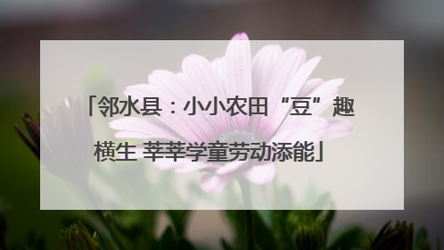 邻水县：小小农田“豆”趣横生 莘莘学童劳动添能